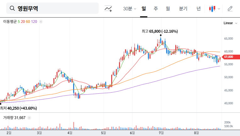 Youngone Corporation's Interim Dividend: Opportunity or Risk? 대표 차트 이미지