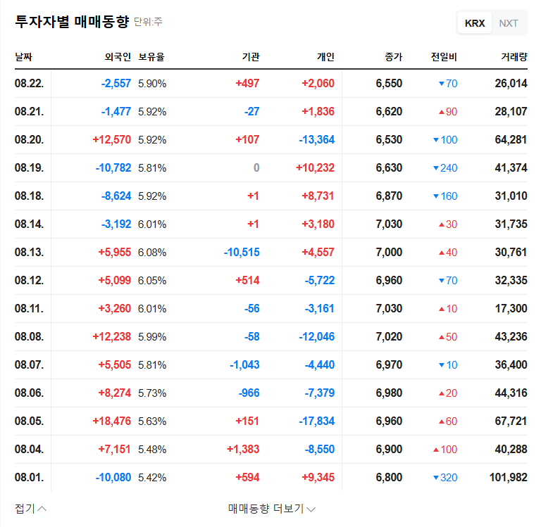 WITZ Stock Forecast: Opportunity or Risk with Synergy IB Investment? (Feat. Convertible Bond Analysis) 관련 이미지
