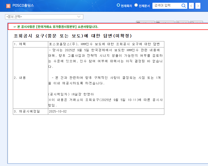 POSCO Holdings Considering HMM Acquisition: Synergy and Risk Analysis 관련 이미지